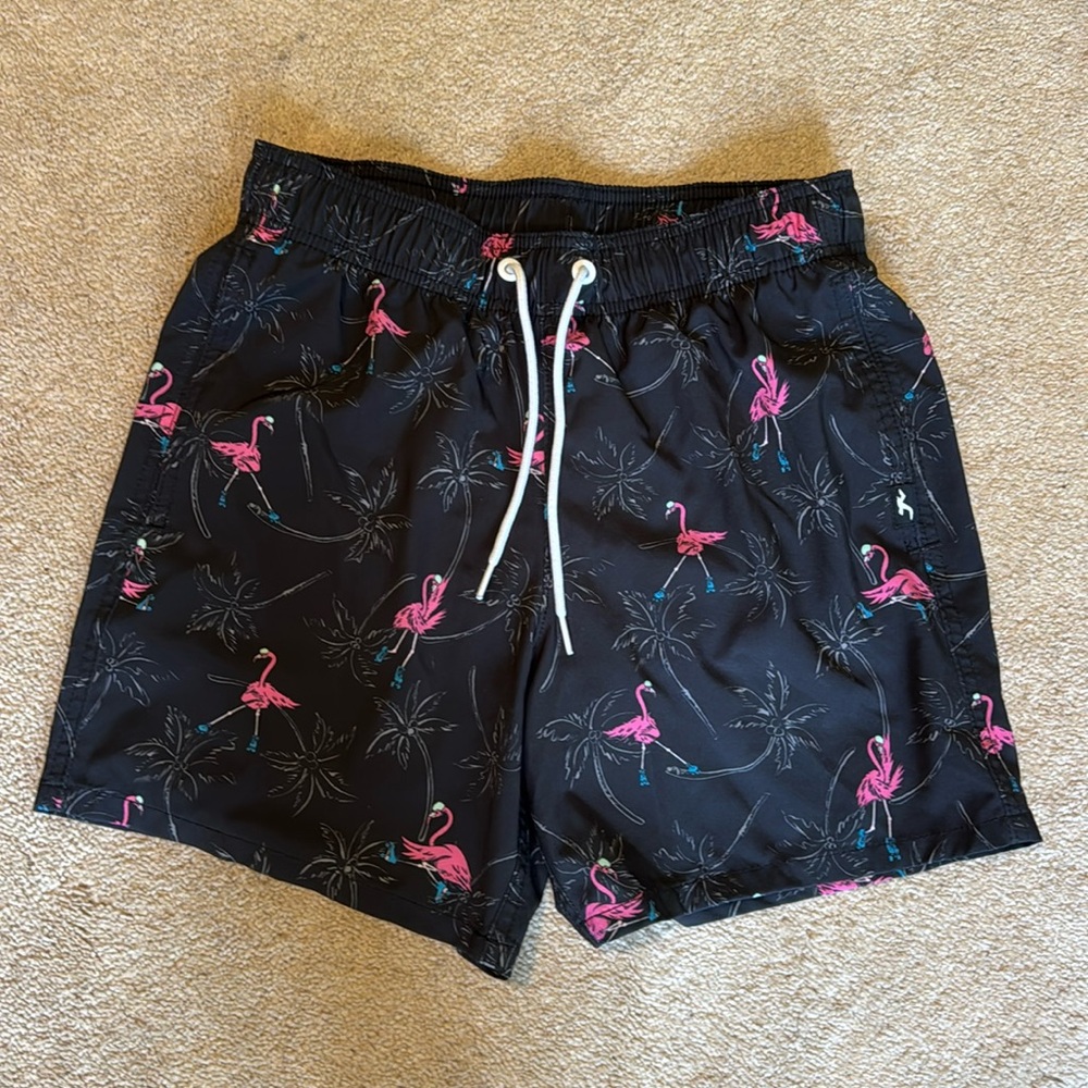 Hollister swim trunks